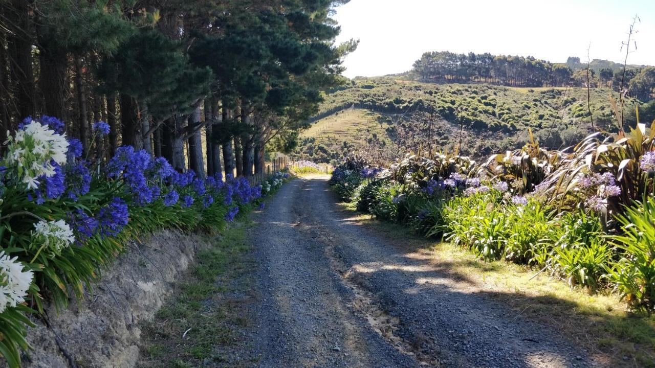 Hilltop Lodge Porirua Εξωτερικό φωτογραφία